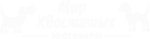 Мир хвостатых